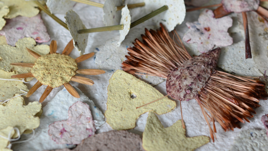 TöötubaSiplane2025UKM