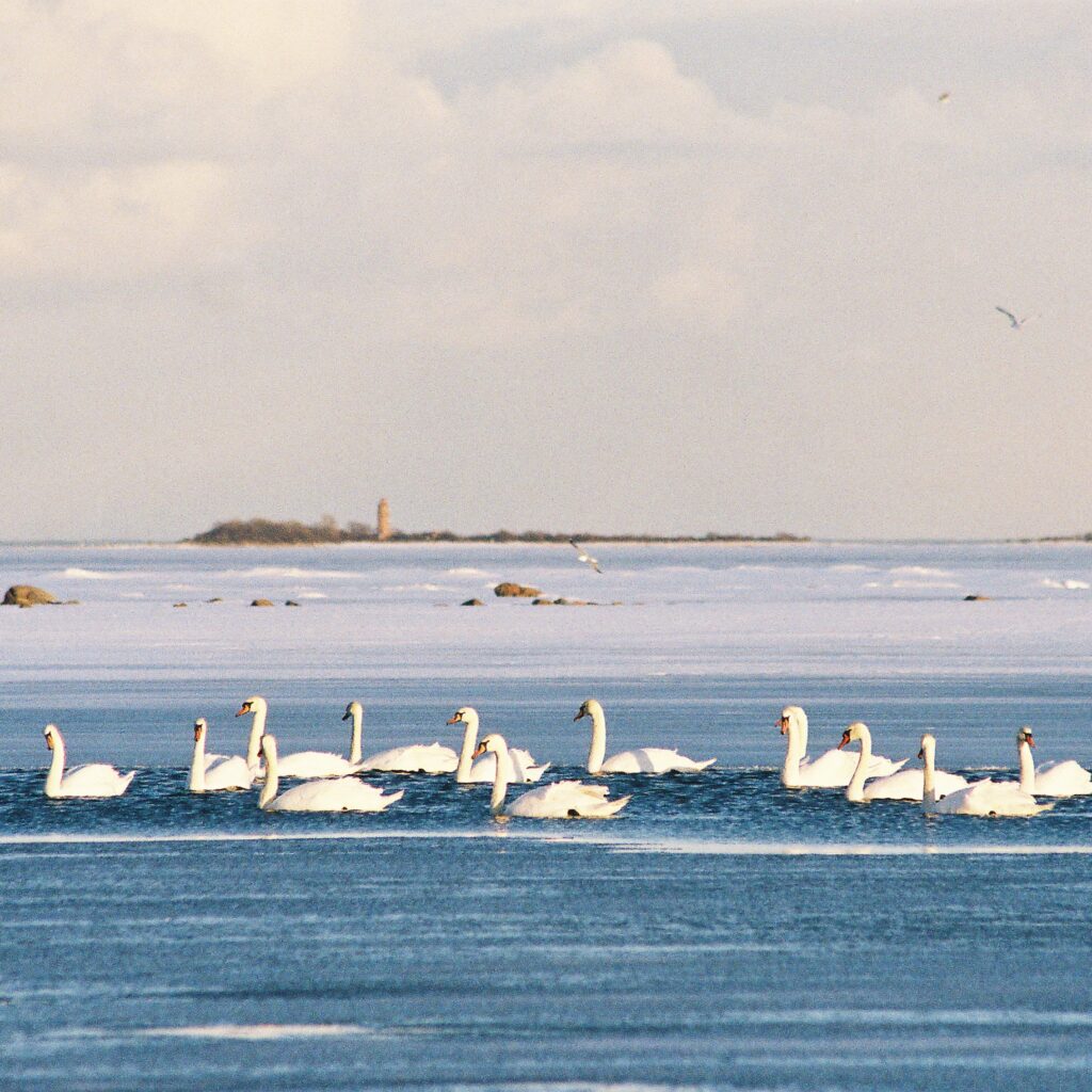 Hea Eesti kunstirahvas: maalijad, kujurid, graafikud, fotograafid, videomeistrid ning ……! Kutsume Teid looma uusi meistri-teoseid meie 33.-le rahvusvahelisele a